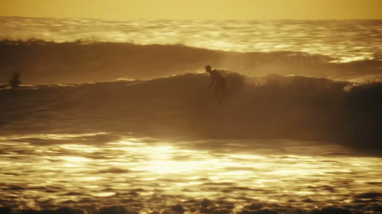 Surfer carving a golden wave at sunset