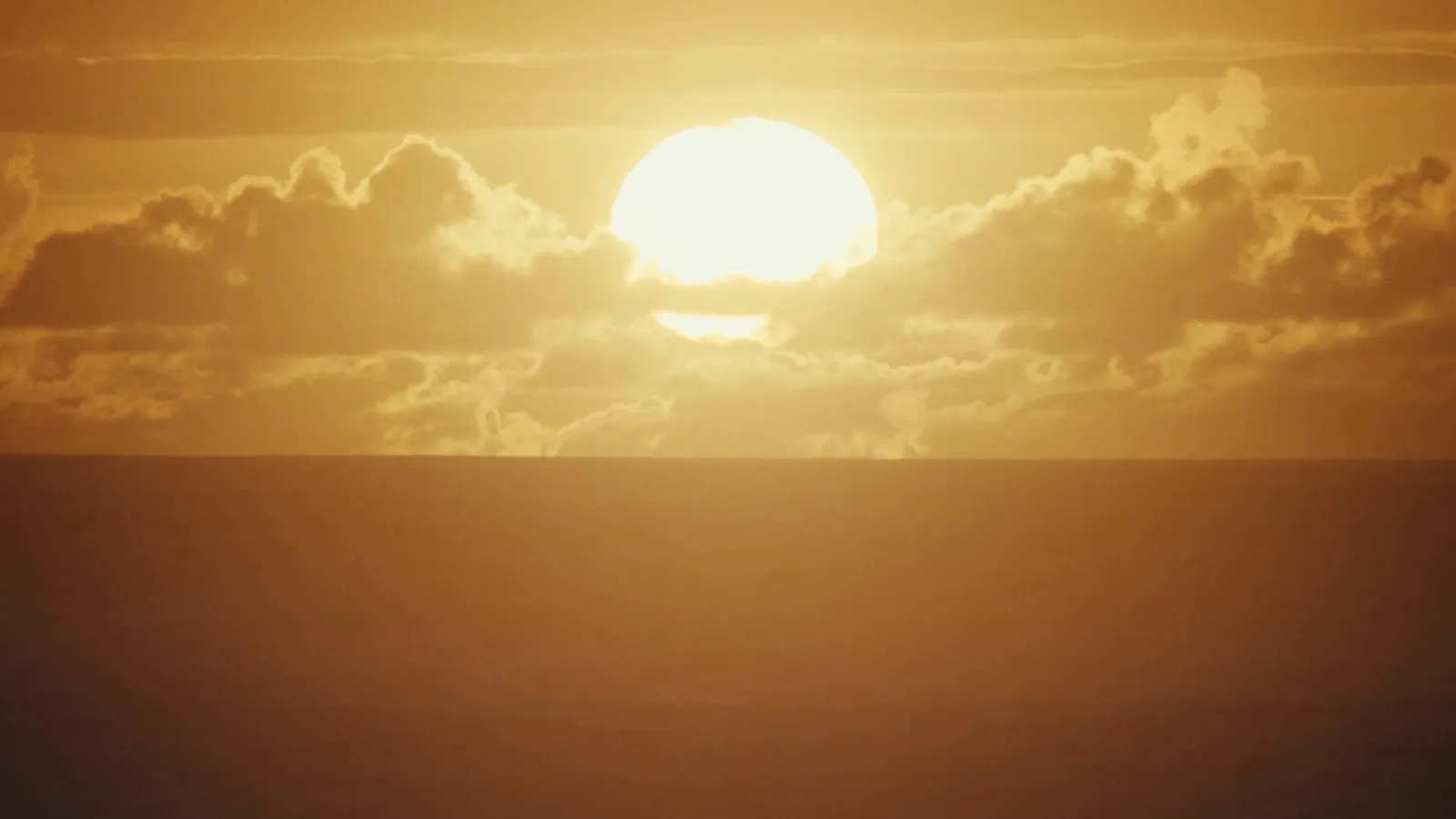 The sun setting over the ocean — top match